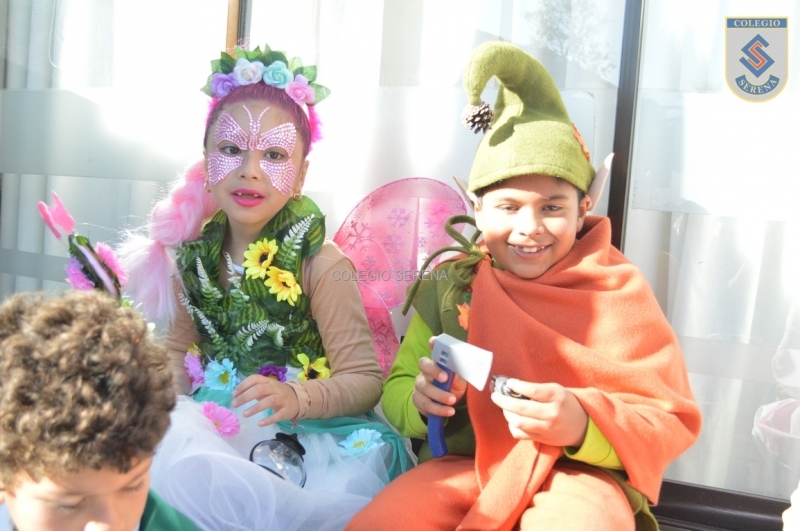 DSC_0140 Copiar.JPG